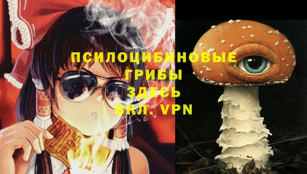 трава Заволжск