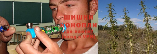 молекула духа Алексеевка