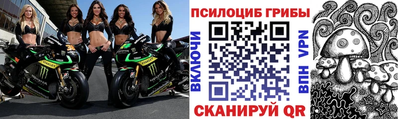 Галлюциногенные грибы ЛСД Завитинск