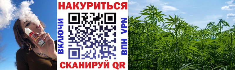 Бошки Шишки гибрид  Завитинск 